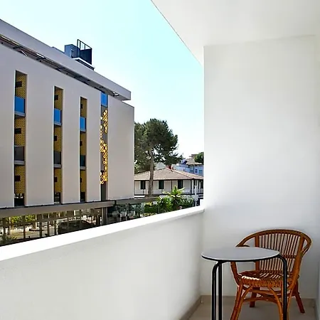 Hotel Exclusive - In Pieno Centro A Pochi Passi Dal Mare Riccione